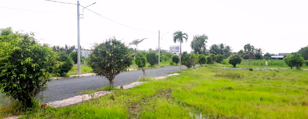 Bán đất nền gần khu công nghiệp Tân Hương 100% thổ cư giá rẻ nhất khu vực-02
