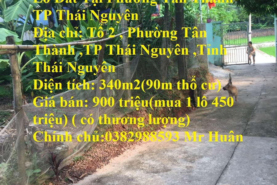 Chính chủ cần tiền bán gấp 2 lô đất tại phường Tân Thành, Thái Nguyên-01
