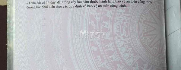 Có vấn đề về tài chính bán đất Thanh Tuyền, Bình Dương giá bán êm chỉ 5 tỷ có diện tích khoảng 700m2-02