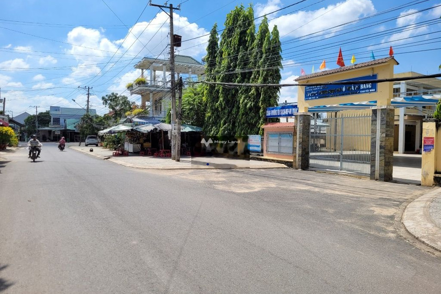 Trảng Bàng, Tây Ninh 14 tỷ bán đất Diện tích đất 2700m2-01