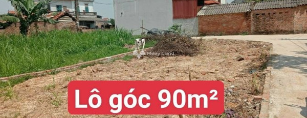 Cực sốc bán mảnh đất, 90m2 giá êm chỉ 1.42 tỷ vị trí đặt ngay Quốc Lộ 35, Phú Minh, với lộ đi rộng 4 m pháp lý nhanh-02