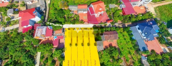 Lục Nam, Bắc Giang bán đất giá sang tên 355 triệu có diện tích chung 150m2-03