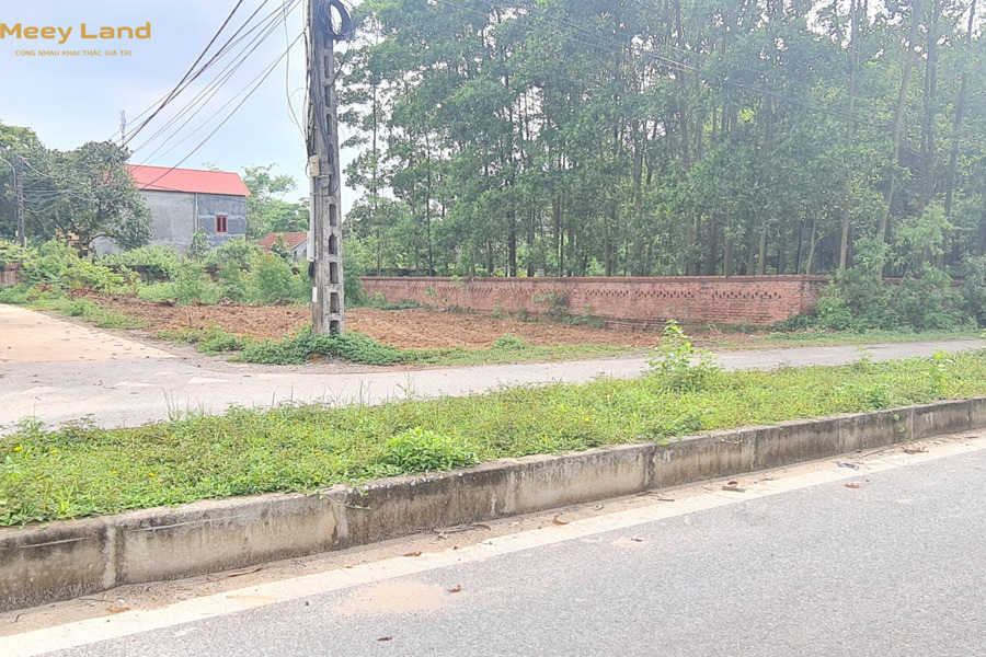 Bán đất mặt đường 24m Cầu Bút, Định Trung, Vĩnh Yên-01