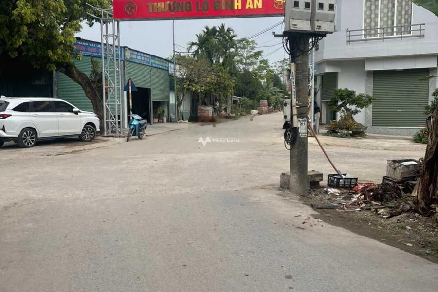 Cần bán đất tại Biên Giang, Hà Nội. Diện tích 54,9m2-01