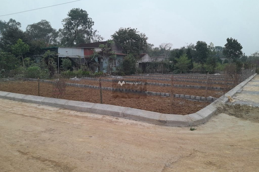 Triệu Sơn, Thanh Hóa bán đất giá bán cực mềm 380 triệu tổng diện tích 105m2-01