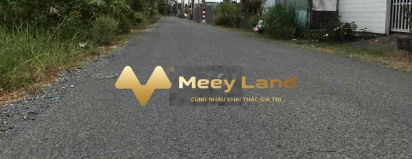 Cần tiền duy trì công ty bán đất Bình Chánh, Hồ Chí Minh giá bán siêu khủng 950 triệu dt tầm trung 100m2-02