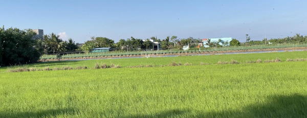 Gò Công Đông, Tiền Giang 1.23 tỷ bán đất với diện tích rộng 4254m2-02