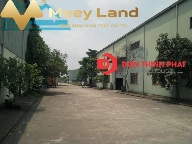 Cho thuê kho bãi với tổng diện tích 500 m2, mặt tiền nằm ngay ở Phố Trần Đại Nghĩa, Huyện Bình Chánh, giá siêu khủng 25 triệu/tháng