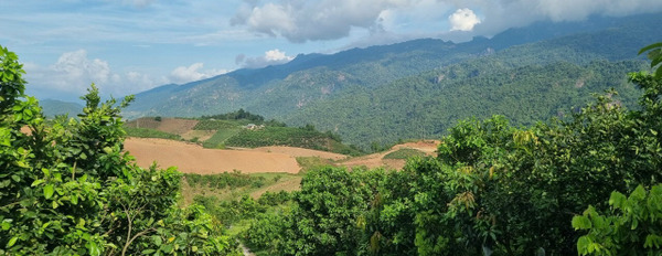 Cần bán lô đất vàng trong làng bất động sản chỉ có tại Mộc Châu-03