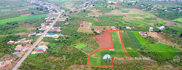 9 tỷ bán đất diện tích tiêu chuẩn 7300m2 tọa lạc ở Đức Trọng, Lâm Đồng-02