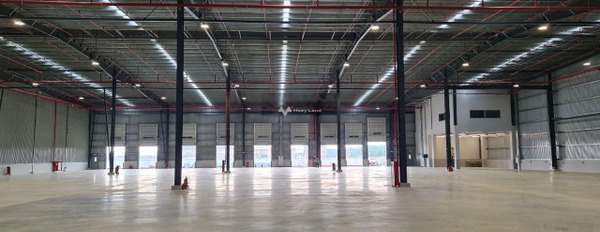 Cho thuê kho bãi diện tích 5000m2 tại Tràng Duệ, Lê Lợi-02