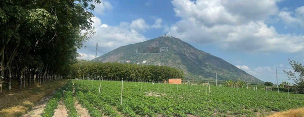 Đất chính chủ Xã Phan Dương Minh Châu - tỉnh Tây Ninh view núi Bà Đen 5x45 thổ cư 50 chỉ hơn 300tr -03