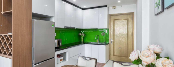 Giá tốt chính chủ, bán chung cư vị trí mặt tiền tại Trần Bạch Đằng, Đà Nẵng bán ngay với giá hấp dẫn chỉ 1.95 tỷ diện tích thực tế 60m2-03