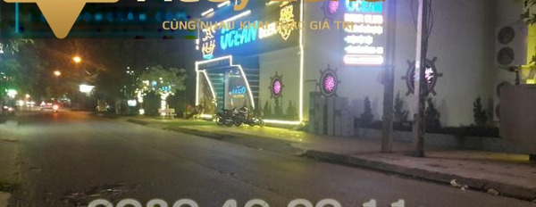 Nguyễn Thị Minh Khai, Ba Hàng bán đất giá bán công khai chỉ 720 triệu có dt là 90 m2-02