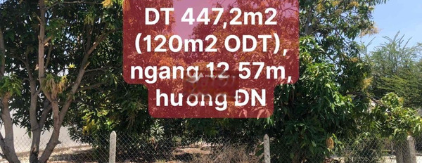 Cần ra đi gấp bán đất Cam Đức, Khánh Hòa giá bán siêu tốt 5.41 tỷ có diện tích tổng 447m2-03