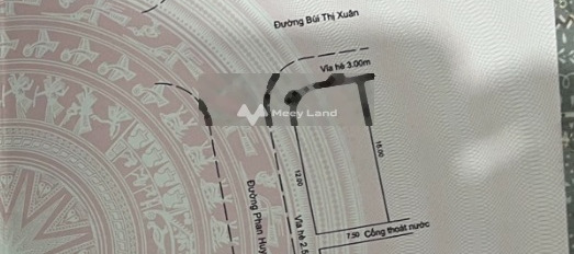 Bán lô đất 2 mặt tiền đường Bùi Thanh Xuân và Phan Huy Chú - Đối diện công viên - Q. Sơn Trà -02