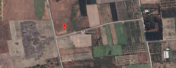 Nằm tại Cam Thành Nam, Khánh Hòa bán đất , hướng Nam diện tích khoảng 49.9m2-03