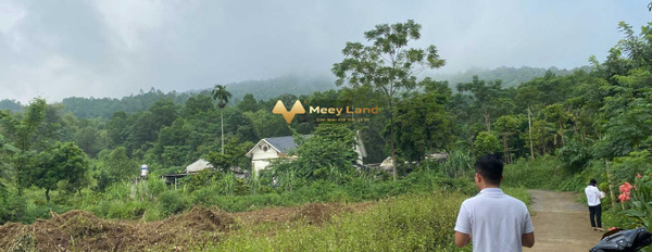 Bán nhà vị trí mặt tiền ở Xã Vân Hòa, Huyện Ba Vì diện tích gồm 500 m2, hướng Đông Nam-02