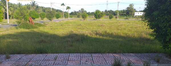 Bán đất thổ cư liền kề cổng sau khu công nghiệp Tân Hương - Tiền Giang-02