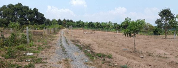 Đất vườn giá rẻ Diên Khánh ,cách Trung Tâm TP Nha 18km,chỉ 419 triệu. giá tốt nhất-02