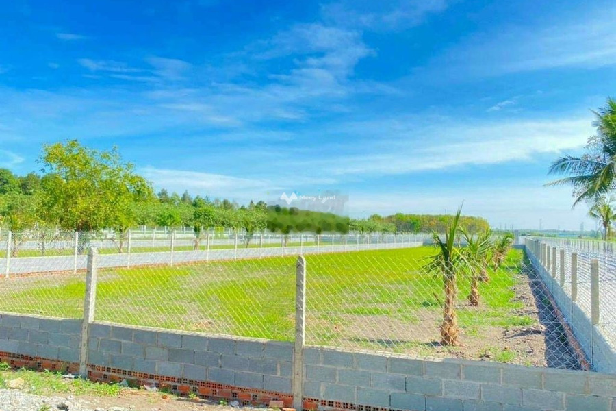 Ngay Bình Long, Bình Phước bán đất 500 triệu diện tích quy ước 2000m2-01