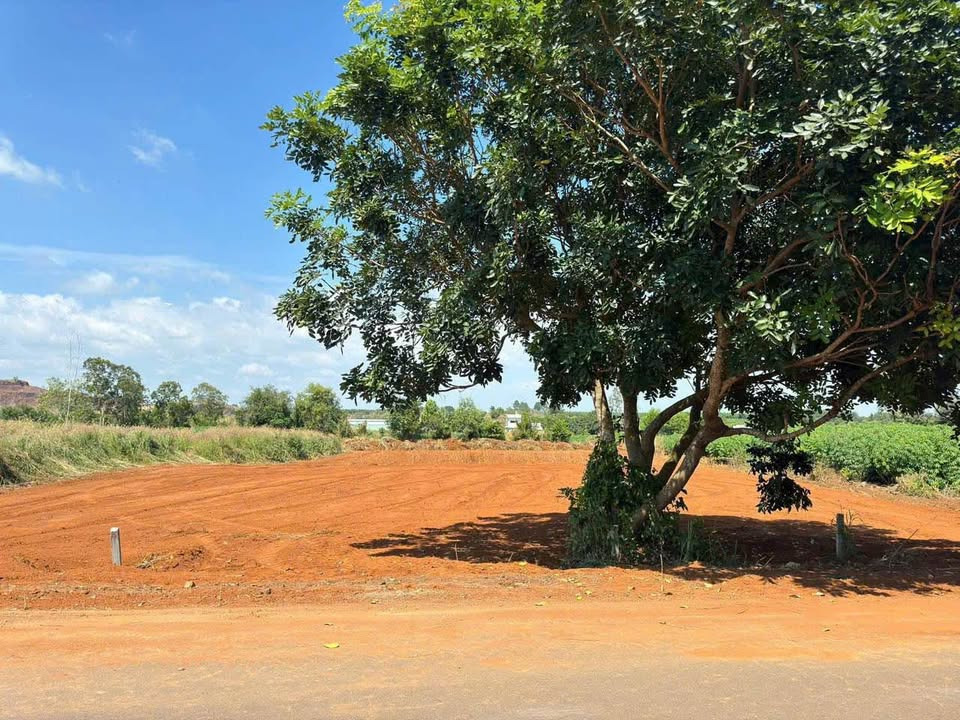 Bán đất huyện Long Điền tỉnh Bà Rịa - Vũng Tàu giá 2.1 tỷ-0