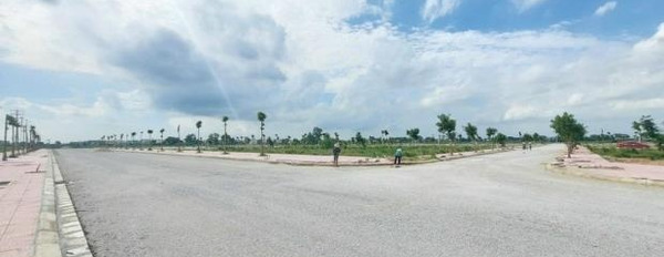 1.65 tỷ bán đất dt sàn là 100 m2 ngay tại Yên Phong, Bắc Ninh-02