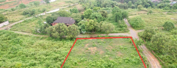 Bán nhà ở diện tích rộng 1000m2 bán ngay với giá hiện tại 3 tỷ vị trí đặt ngay Cư Yên, Lương Sơn, hướng Đông nam, lộ 7 mét-03