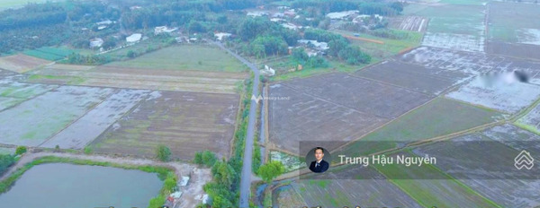 Bán đất diện tích chính là 1500m2 vị trí tốt đặt nằm ngay Gò Dầu, Tây Ninh-02