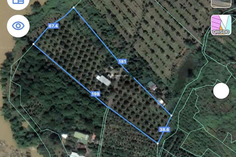 Bán đất 4.8 tỷ Tân Phú, Đồng Nai diện tích trong khoảng 9849m2-01
