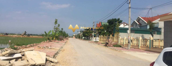 Bán đất tại Đường 47, Đông Minh, Thanh Hóa. Diện tích 124m2, giá 114,82 tỷ-02
