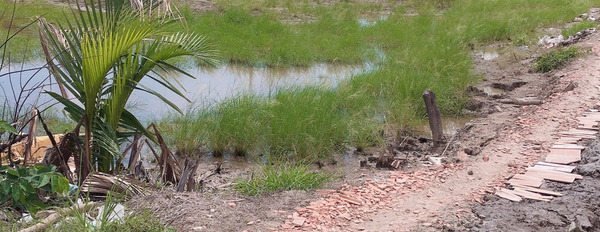 Cần chuyển nhượng gấp mảnh đất nền tại xã Khánh Lâm, huyện U Minh, tỉnh Cà Mau-03