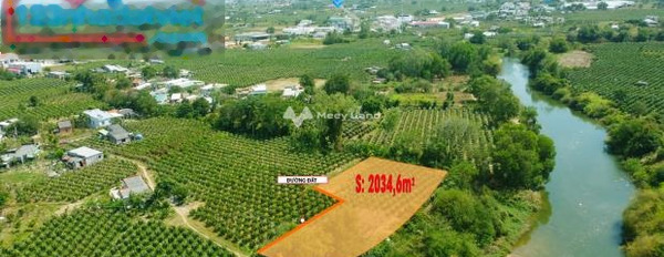 Giá hợp lý từ 1.8 tỷ bán đất diện tích khoảng 2034m2 vị trí thuận tiện ngay tại Đt 719, Hàm Thuận Nam, hướng Tây Bắc-02