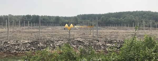 Tại Đường Lý Nhơn, Huyện Cần Giờ bán đất 6.6 tỷ dt tổng là 2200m2-02
