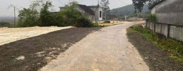 Cần ra lô đất chính chủ tại xóm 4-25 Nghi Văn, Nghi Lộc, Nghệ An-02