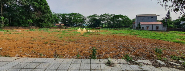 Khoảng từ 9.2 tỷ bán đất diện tích thực dài 575.1 m2 vị trí đẹp ngay Huyện Quốc Oai, Hà Nội-02