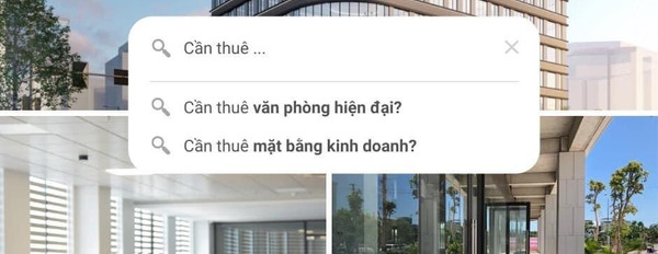 Cho thuê văn phòng thương mại tại TD Complex thành phố Vinh, Nghệ An-03