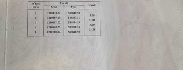 Bán đất huyện Củ Chi diện tích 155m2-03