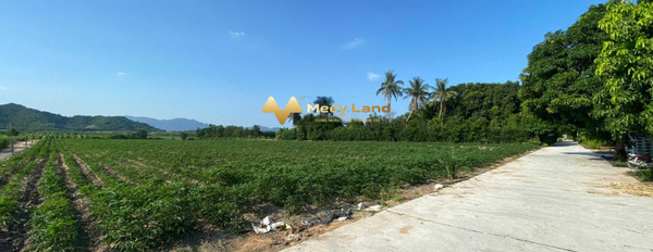 Bán đất dt quy đổi 3800 m2 tọa lạc ngay trên Cam Hiệp Nam, Cam Lâm-02