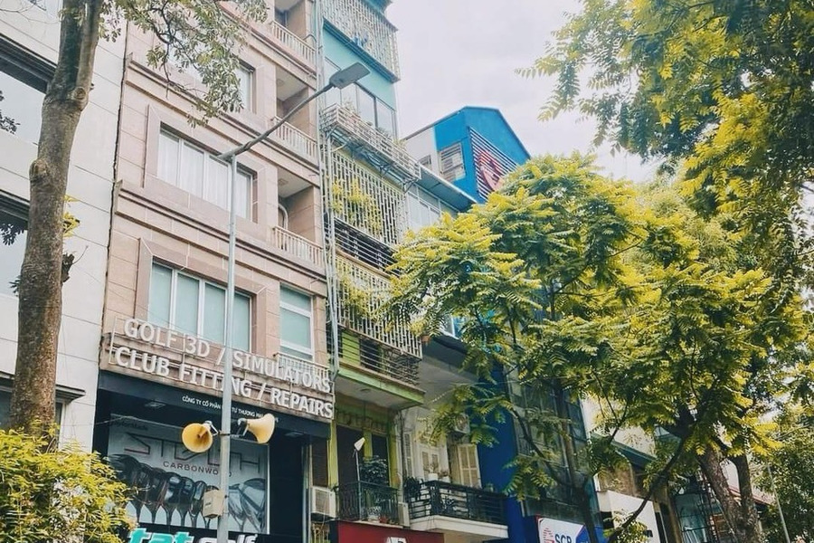 Chính chủ cần bán gấp nhà phố Vũ Trọng Khánh 55m2, 5 tầng, phân lô vỉa hè, kinh doanh vip-01