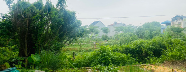 Bán đất khu xen ghép Mậu Lâm, Khai Quang, Vĩnh Yên, Vĩnh Phúc-02