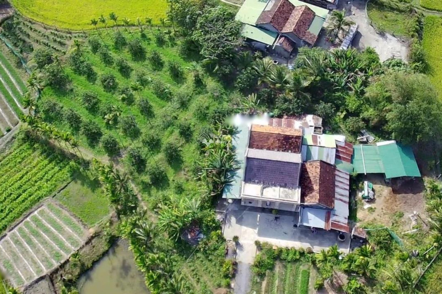 Cắt lỗ bán mảnh đất, 1960m2 giá bán cực rẻ 2.9 tỷ vị trí đặt ở tại Ninh Hòa, Khánh Hòa thuận tiện di chuyển-01