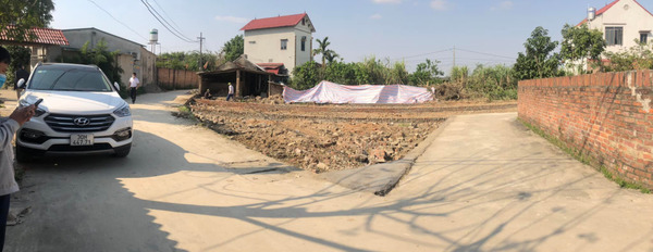 Siêu phẩm đất phân lô tại dự án Trường Ngữa, Tân Minh, Sóc Sơn-02