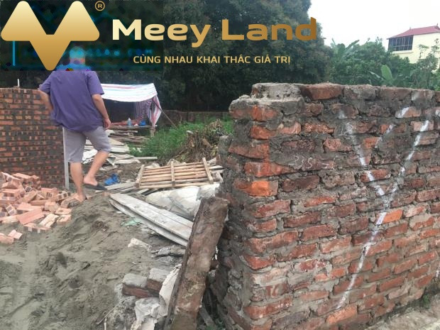 Giá bán mềm từ 3.7 tỷ, Bán đất diện tích tổng 95 m2 vị trí mặt tiền tọa lạc ở Xã Phú Thị, Huyện Gia Lâm giá siêu rẻ-01