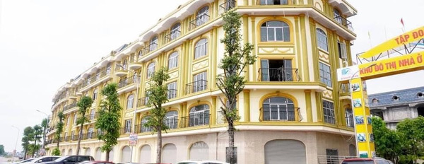 Mở bán dãy Shophouse đẳng cấp bậc nhất Thuận Thành, Bắc Ninh-02