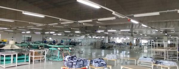 Cho thuê xưởng Thuận An, giá rẻ. Diện tích 5000m2, PCCC tự động. Pháp lý đầy đủ -03