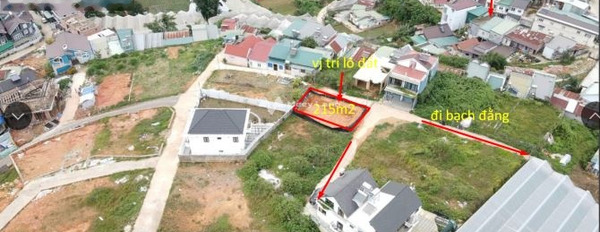 Cao Thắng, Lâm Đồng bán đất giá bán cực rẻ 8.1 tỷ có diện tích chuẩn 215m2-03