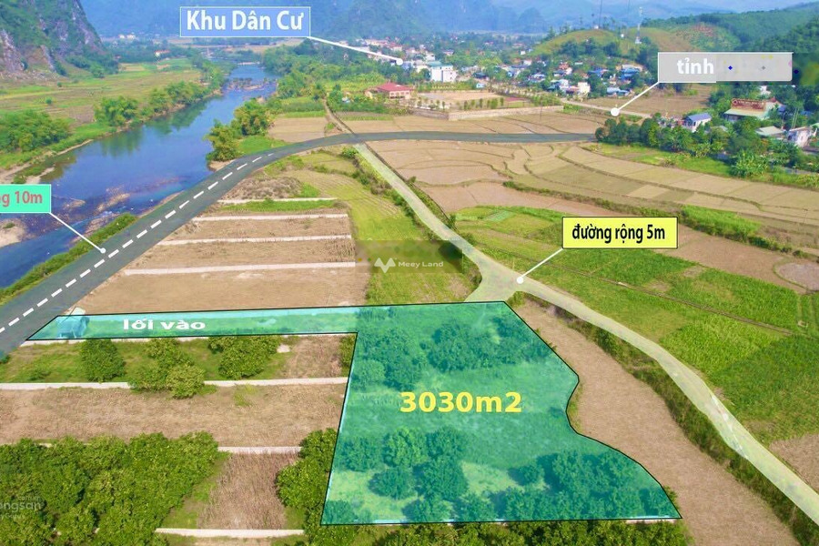 Giá đề cử chỉ 3.03 tỷ bán đất diện tích dài 3030m2 vị trí thuận lợi ở Kim Lập, Kim Bôi-01