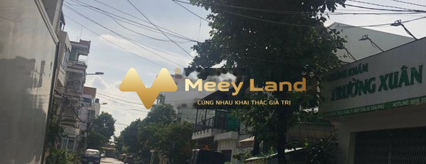 Bán nhà diện tích 160m2 Tân Phú, Hồ Chí Min, giá 20 tỷ-02