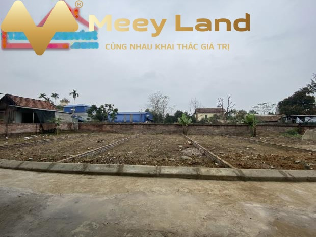 Cần bán đất tại Tỉnh Lộ 419, Thạch Thất, Hà Nội. Diện tích 68m2, giá 800 triệu